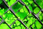 Behavior-based Safety — A Sustainability Advantage