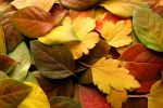 Strategies for Marketing Product Sustainability