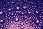 Agility: The New Core Competency for EHS and Sustainability