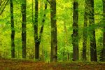 Africa: Strengthening the EHS Regulatory Framework