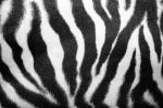 Africa: EHS Trends and Future Developments