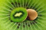 Demystifying Environmental Sustainability