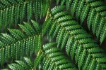 ISO 14001: The Dreaded Revision Process Has Started!