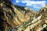 Improving Ecosystems through Rewilding