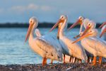 Fee-Free Days at U.S. National Wildlife Refuges