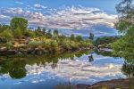 America’s Greenest States