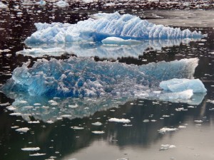 EHS Journal - Glacier at Tracy Arm by Robert Linder