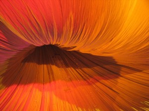EHS Journal - Return to Center by Risuku13